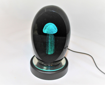 Briefbeschwerer Qualle